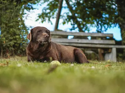 DSC01375 (1) - Kopie.jpg