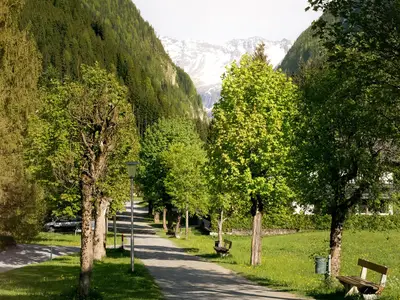 Haus Nani, Bad Gastein/Böckstein