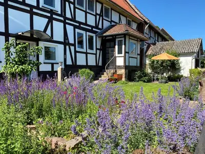 Ferienwohnung für 2 Personen (16 m²) in Bodenfelde 1/10