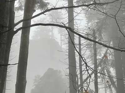 Nebel