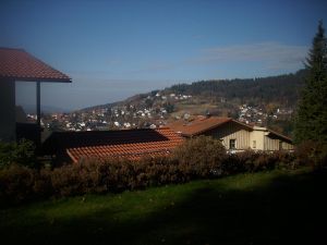 22138671-Ferienwohnung-4-Bodenmais-300x225-5