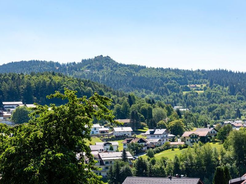 22141943-Ferienwohnung-2-Bodenmais-800x600-2