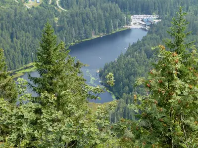 Großer Arbersee