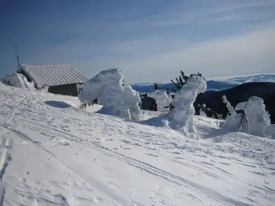 Winter 1