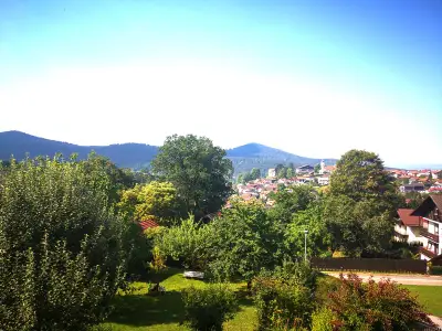 Blick über Bodenmais