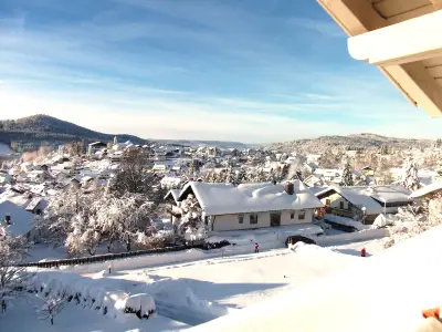 Bodenmais im Winter