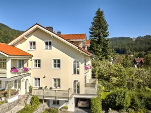 Ferienwohnung für 3 Personen (46 m²) in Bodenmais