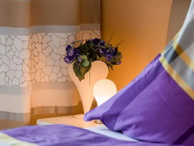 Ferienwohnung für 4 Personen (50 m²) in Bodenmais 10/10