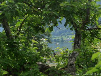 Blick vom Balkon