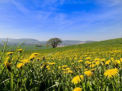 Landschaft