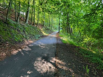 Fußweg zum Heiligenberg Umgebung Ferienwohnung