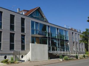 Ferienwohnung für 4 Personen (55 m²) in Bodman-Ludwigshafen