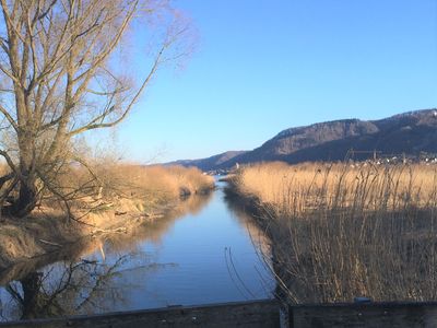 Naturschutzgebiet Bodman, 200m/ 2min entfernt