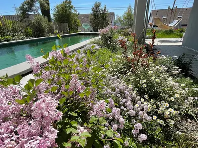 Ferienwohnung für 4 Personen (65 m²) in Bodman-Ludwigshafen 6/10