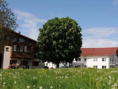 Ferienwohnung für 4 Personen (85 m²) in Bodnegg 1/10