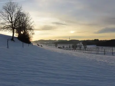 Ferienwohnung für 4 Personen (85 m²) in Bodnegg 8/10