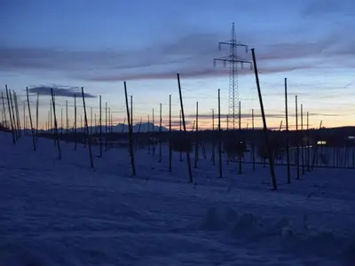 Ferienwohnung für 4 Personen (85 m²) in Bodnegg 9/10