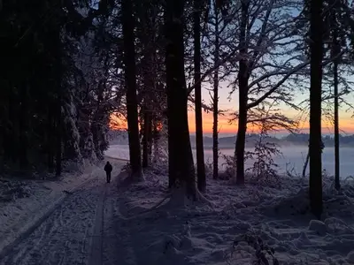 Ferienwohnung für 6 Personen (95 m²) in Bodnegg 5/10