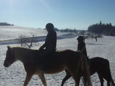 Ferienwohnung für 6 Personen (95 m²) in Bodnegg 8/10