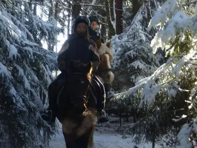 Ferienwohnung für 6 Personen (95 m²) in Bodnegg 10/10