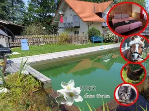 Ferienwohnung für 3 Personen (60 m²) in Bodnegg