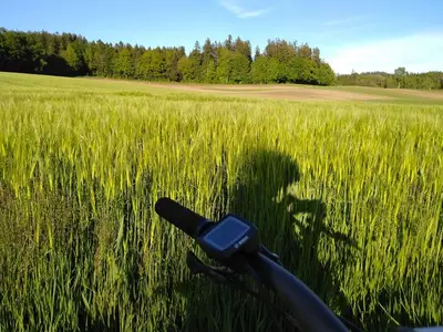 Ferienwohnung für 6 Personen (95 m²) in Bodnegg 6/10