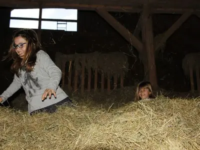 Ferienwohnung für 6 Personen (95 m²) in Bodnegg 10/10