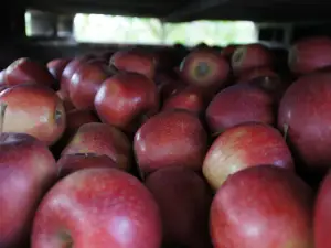 Ferienwohnung für 6 Personen (70 m²) in Bodolz