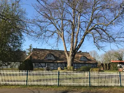 Ferienwohnung für 7 Personen (107 m²) in Bodstedt 3/10