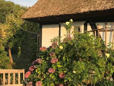 Ferienwohnung für 7 Personen (107 m²) in Bodstedt 6/10