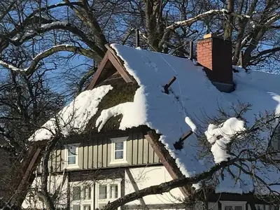 Ferienwohnung für 6 Personen (65 m²) in Bodstedt 2/10