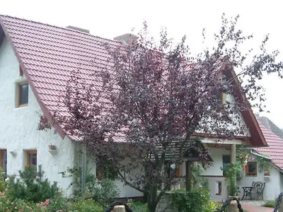 Ferienwohnung für 5 Personen (65 m²) in Bodstedt 3/10