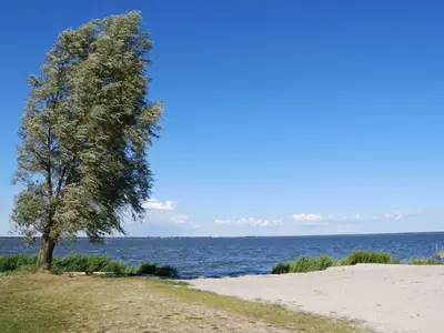 Ferienwohnung für 2 Personen (30 m²) in Bodstedt 10/10