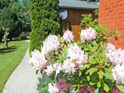 outside