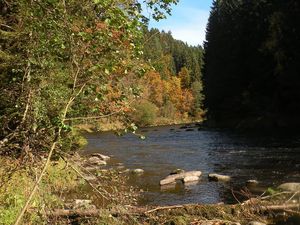 19124043-Ferienwohnung-5-Böbrach-300x225-4