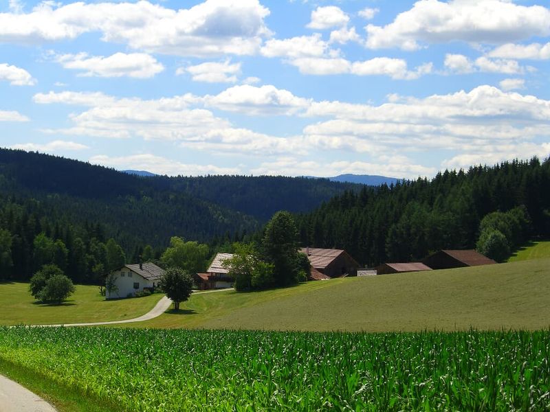 22615115-Ferienwohnung-6-Böbrach-800x600-2