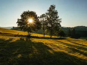 Ferienwohnung für 4 Personen (40 m²) in Böbrach