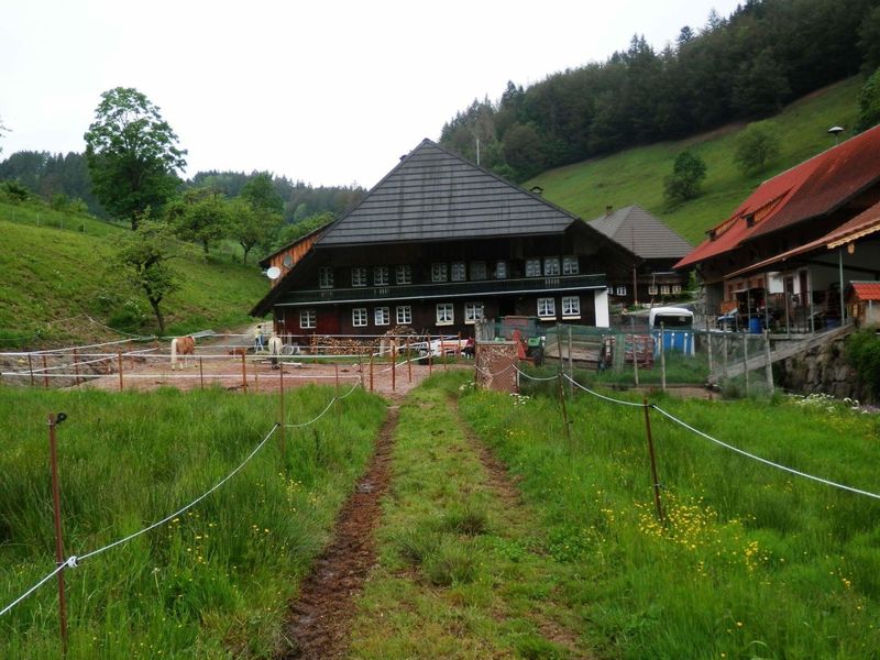 19287442-Ferienwohnung-4-Böllen-800x600-0