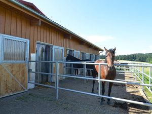 18993181-Ferienwohnung-6-Bogen-300x225-3