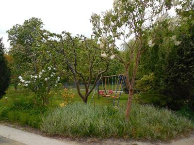 Ferienwohnung für 8 Personen (100 m²) in Boitzenburger Land 6/10