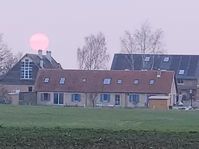 Ferienwohnung für 3 Personen (30 m²) in Boitzenburger Land 6/9