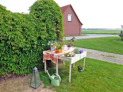 Ferienwohnung für 5 Personen (50 m²) in Bollewick 5/10