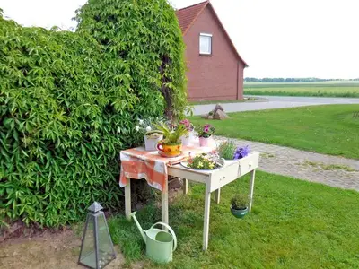 Ferienwohnung für 5 Personen (50 m²) in Kambs 5/10