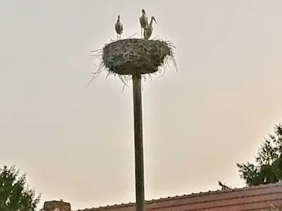 Ferienwohnung für 5 Personen (50 m²) in Kambs 6/10