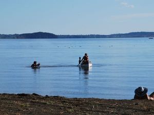 23681473-Ferienwohnung-4-Bolsena-300x225-1