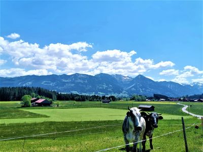 Ferienwohnung Edelweiss, heidi 4