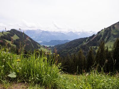 Blick auf die Allgäuer Berge