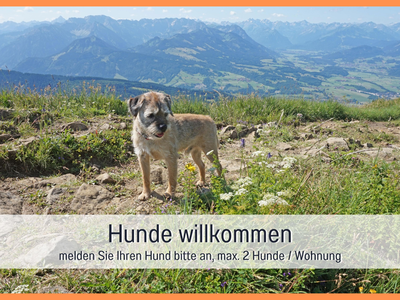 Biohof Burger Hunde willkommen