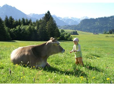 Auf der Wiese