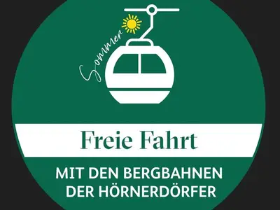 Ferienwohnung für 7 Personen (160 m²) in Bolsterlang 6/10